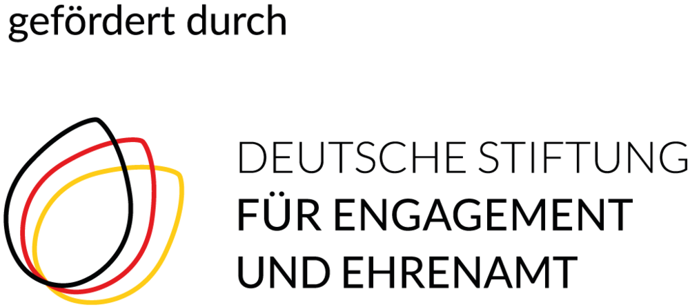 Logo der Deutschen Stiftung für Ehrenamt und Engagement (DSEE)